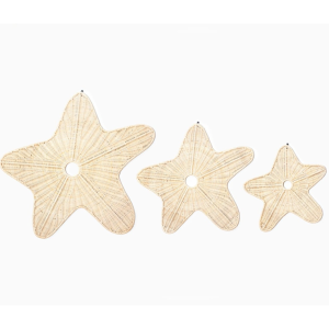 Rotan wanddecoratie ster